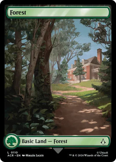 Forest