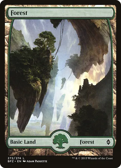 Forest