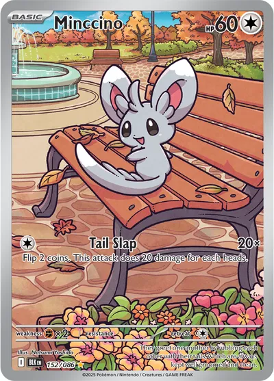 Minccino