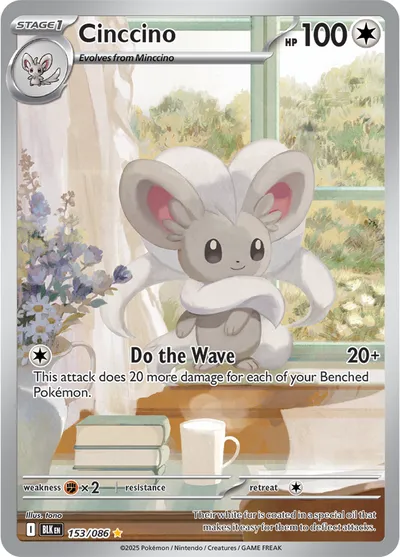 Cinccino