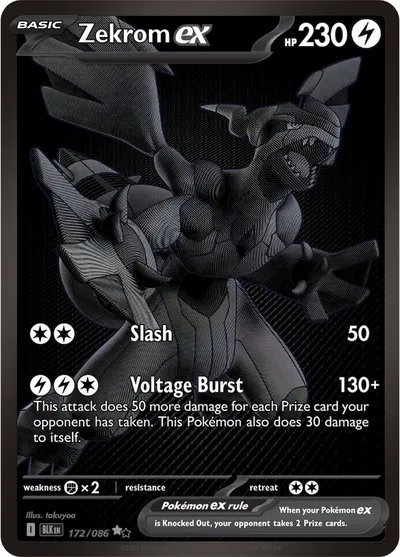 Zekrom ex