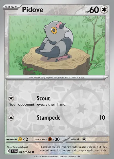 Pidove