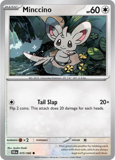 Minccino