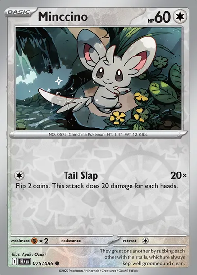 Minccino
