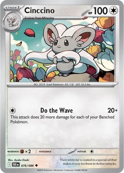Cinccino