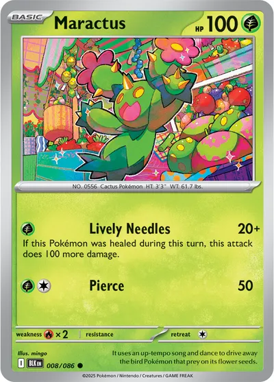 Maractus