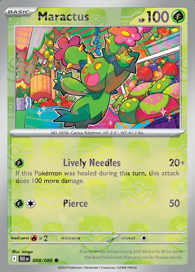 Maractus