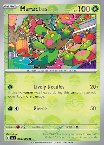 Maractus