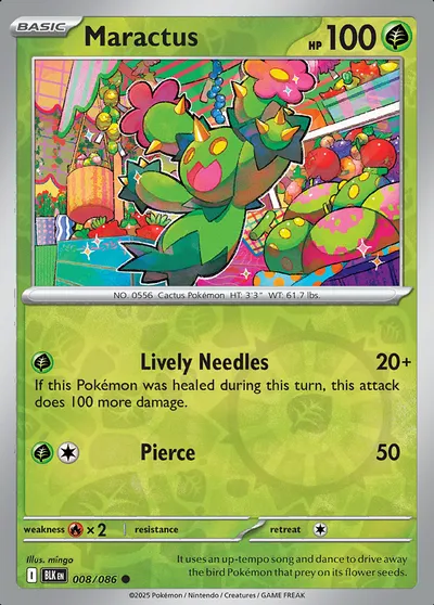 Maractus