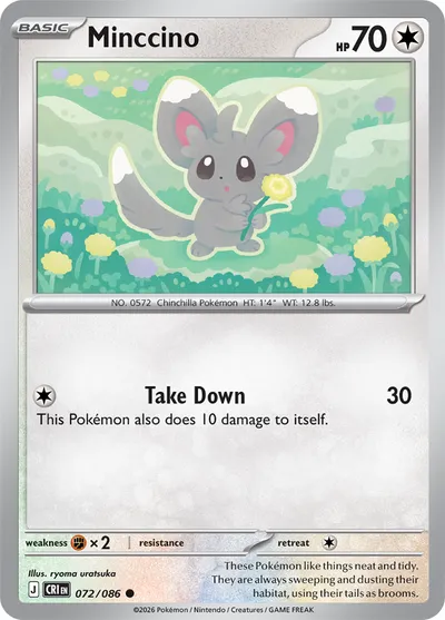 Minccino