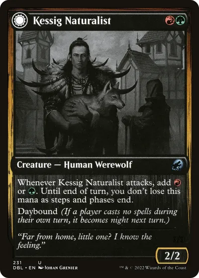 Kessig Naturalist // Lord of the Ulvenwald