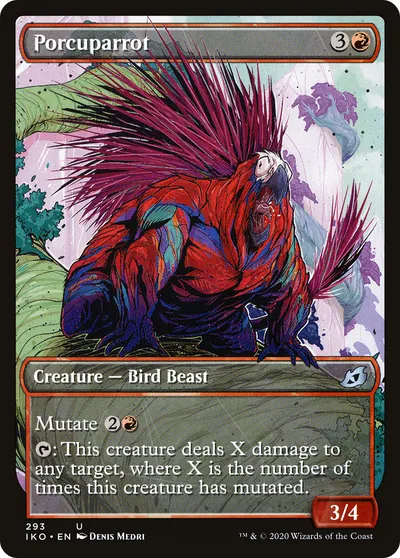 Porcuparrot