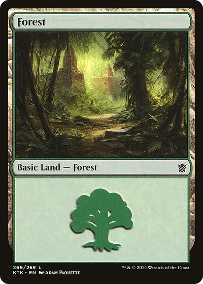 Forest
