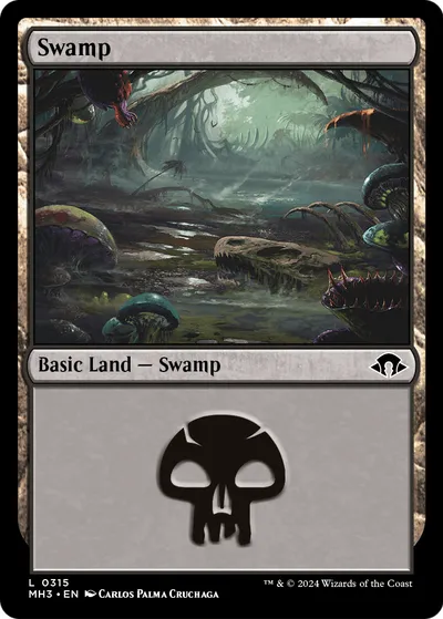 Swamp