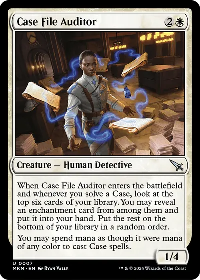 Case File Auditor