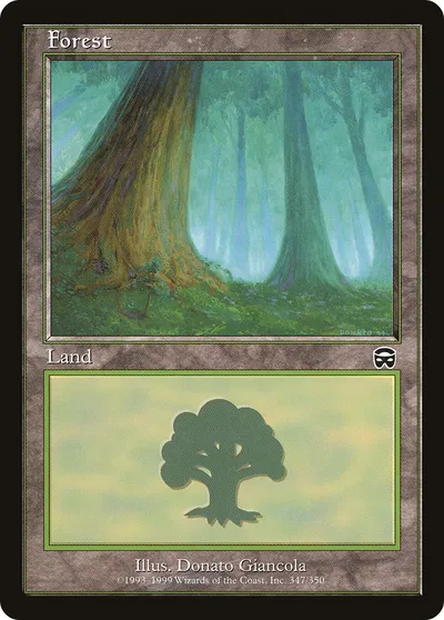 Forest