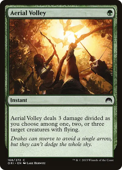 Aerial Volley