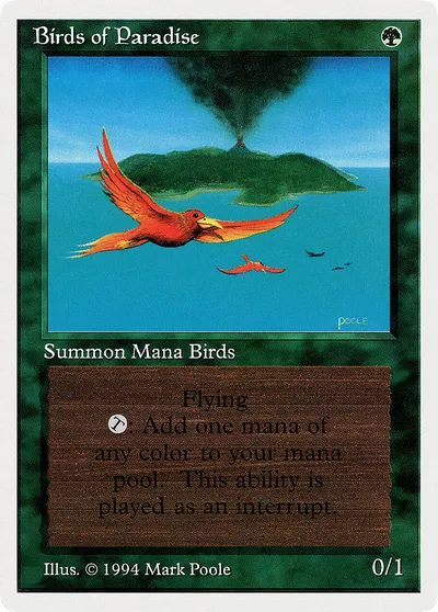 Birds of Paradise