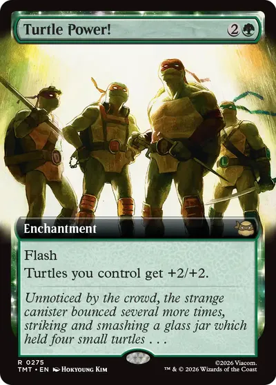 Turtle Power!