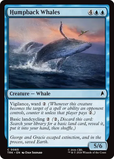 Humpback Whales