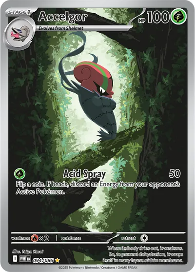 Accelgor