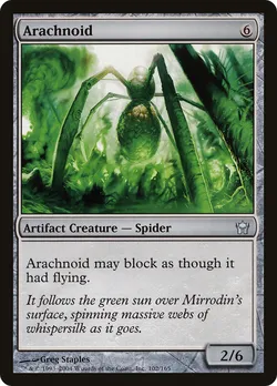 Arachnoid