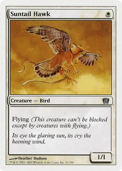 Suntail Hawk