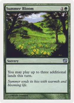 Summer Bloom