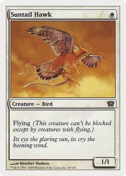 Suntail Hawk