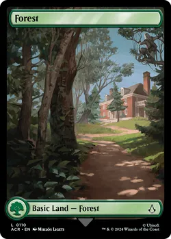 Forest