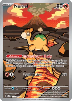 Numel