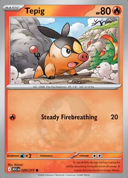 Tepig