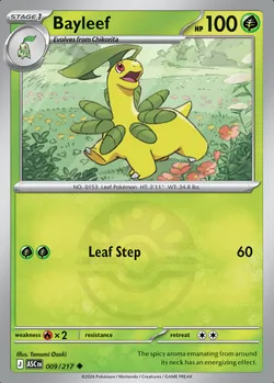 Bayleef
