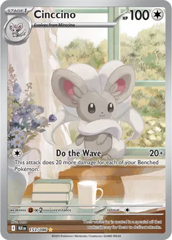 Cinccino