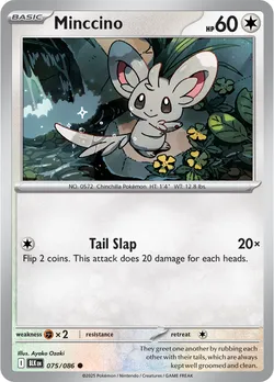 Minccino
