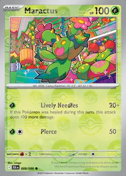 Maractus