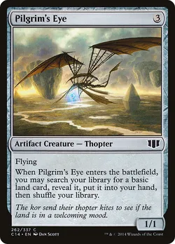 Pilgrim's Eye