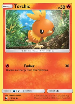 Torchic