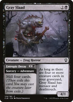 Gray Slaad // Entropic Decay