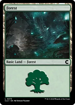 Forest