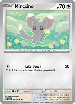 Minccino