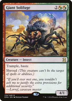 Giant Solifuge