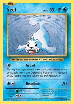 Seel