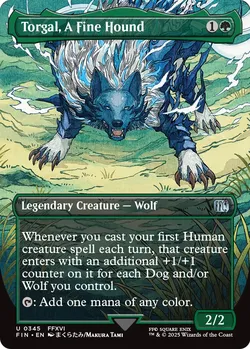 Torgal, A Fine Hound