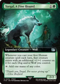 Torgal, A Fine Hound