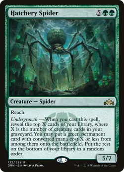 Hatchery Spider