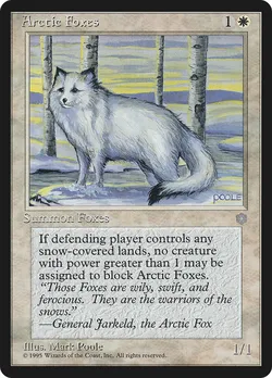 Arctic Foxes