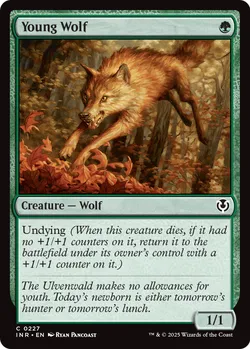 Young Wolf