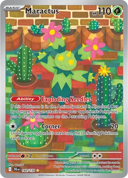 Maractus