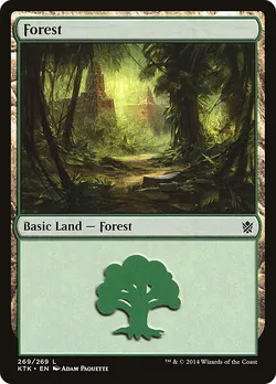 Forest